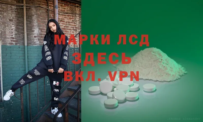 mega как войти  Кингисепп  Лсд 25 экстази ecstasy 